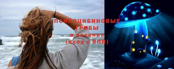 соль курить ск Белокуриха