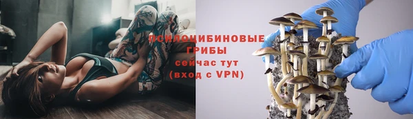 бошки Белоозёрский