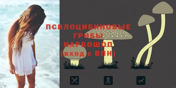 соль курить ск Белокуриха